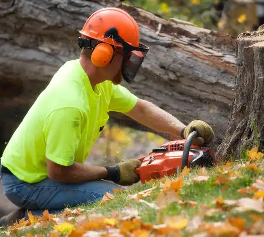 tree services Sandusky